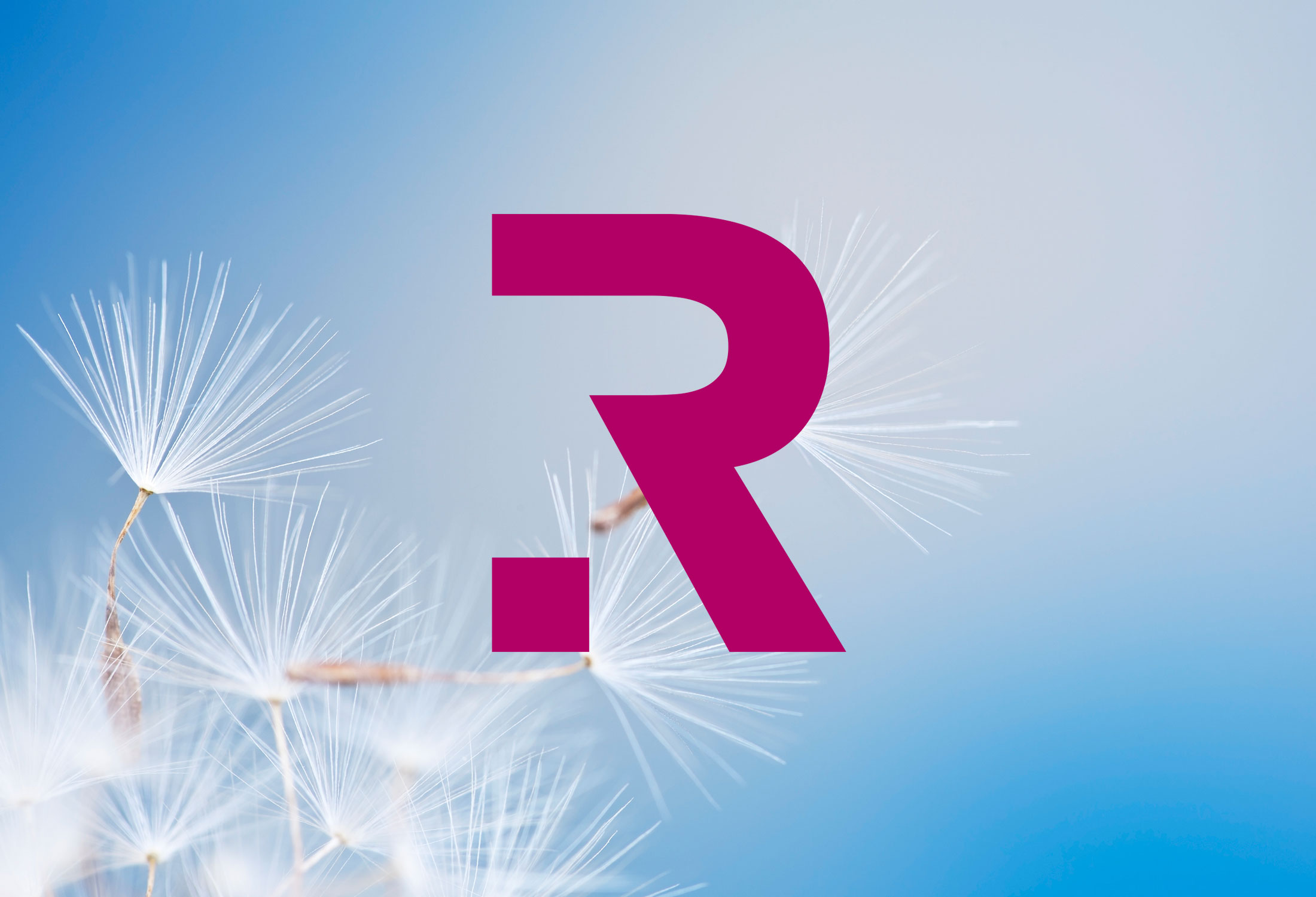 Kanzleimarketing-zB Kampagnenmotiv Keyvisual Kanzleilogo Corporate Design Rittershaus rechtsanwälte Steuerberater