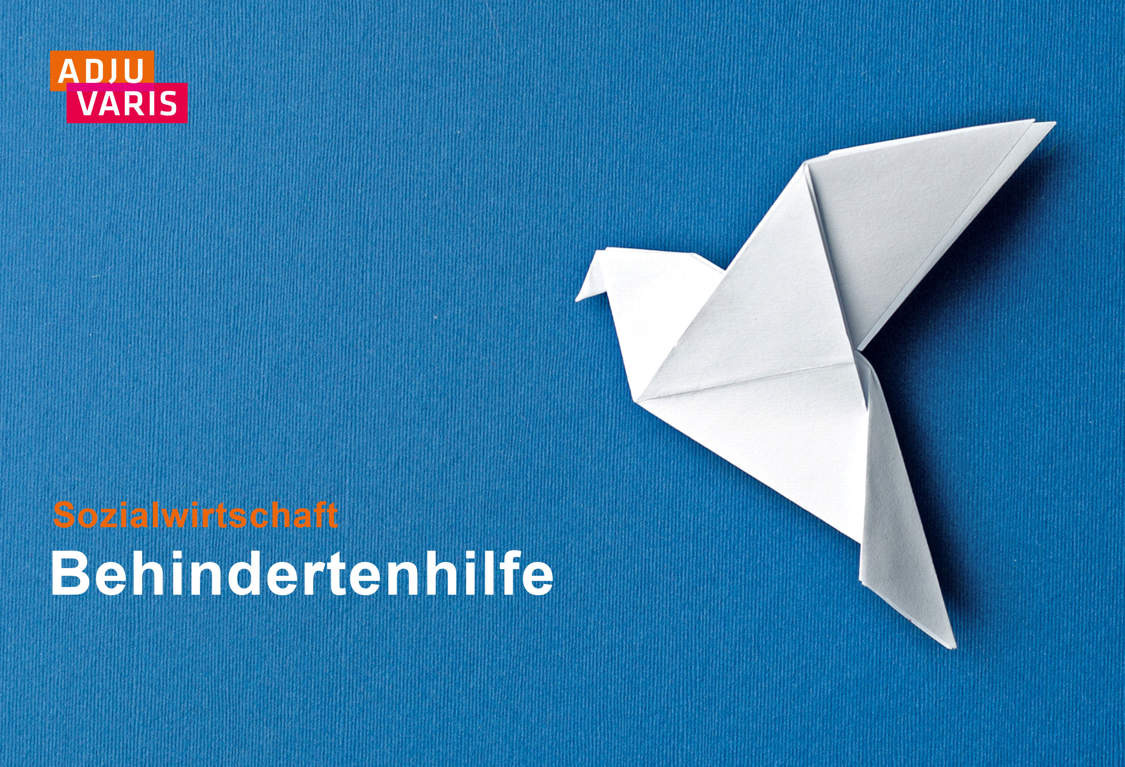 Kanzleimarketing-zB Keyvisual kanzleiwebsite Adjuvaris behindertenhilfe